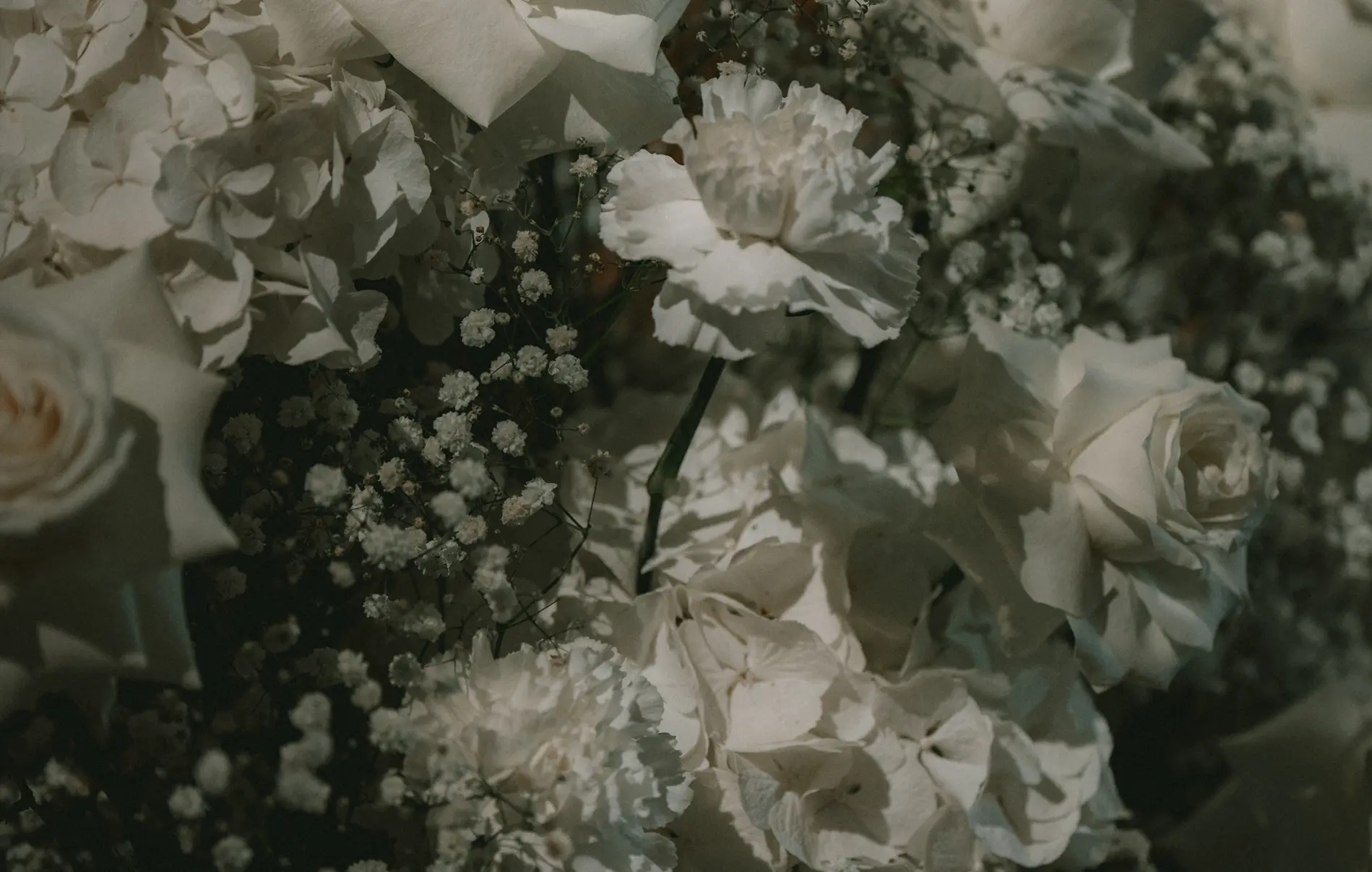 Composition florale d’hortensias, roses blanches et gypsophile