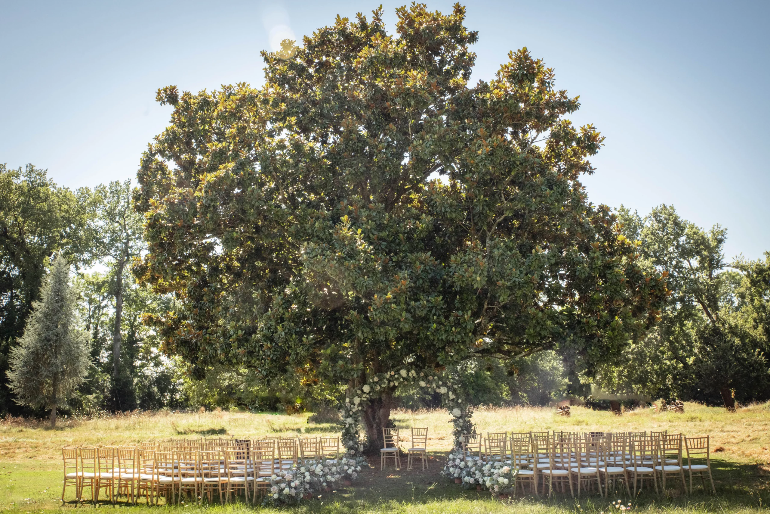 Cérémonie laïque en extérieur sous un arbre avec arche et décorations florales